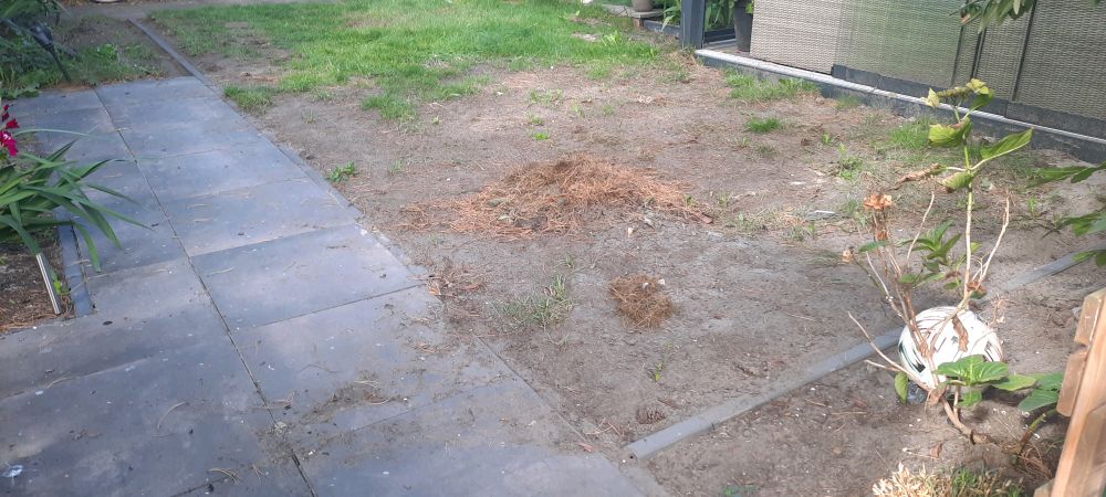 Garten vor der Verlegung: kahler Boden mit Unkraut