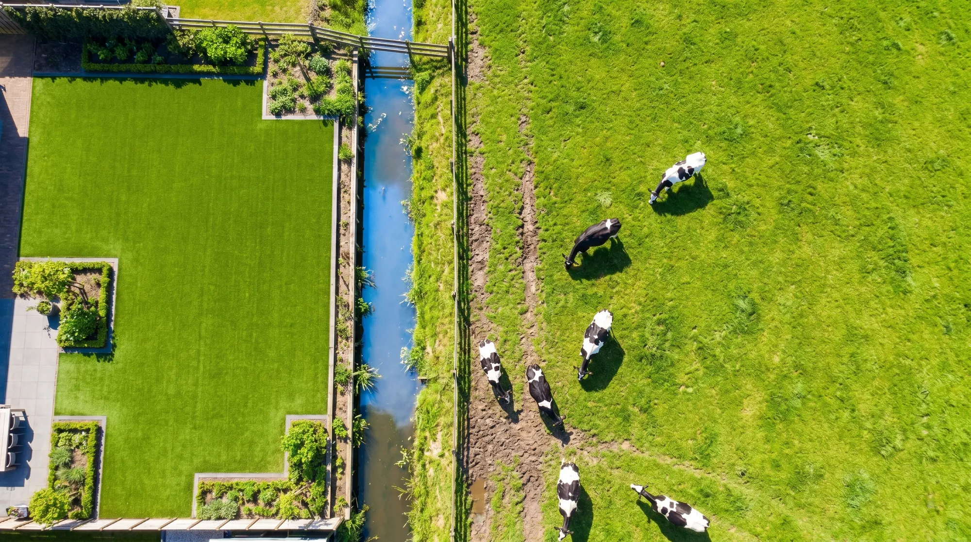 Blick von oben auf einen Garten mit gepflegtem Kunstrasen, daneben eine Weide mit Kühen