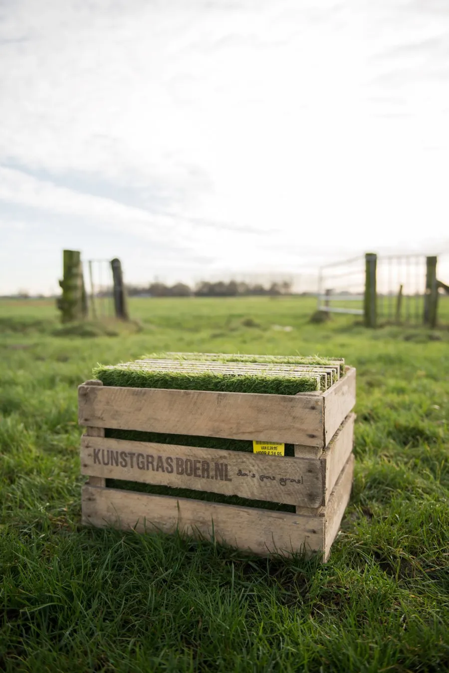 Hölzerne Musterbox von Kunstrasenbauer, gefüllt mit Rasenmustern, auf einer Weide an einem Zaun