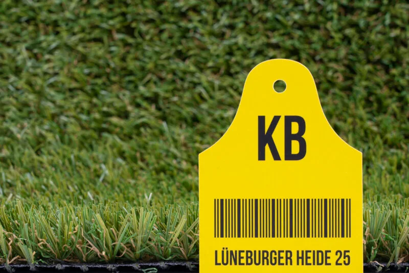 Lüneburger Heide 25