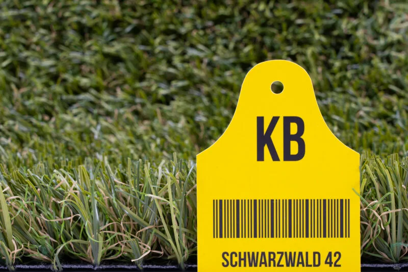 Schwarzwald 42, Hauptbild